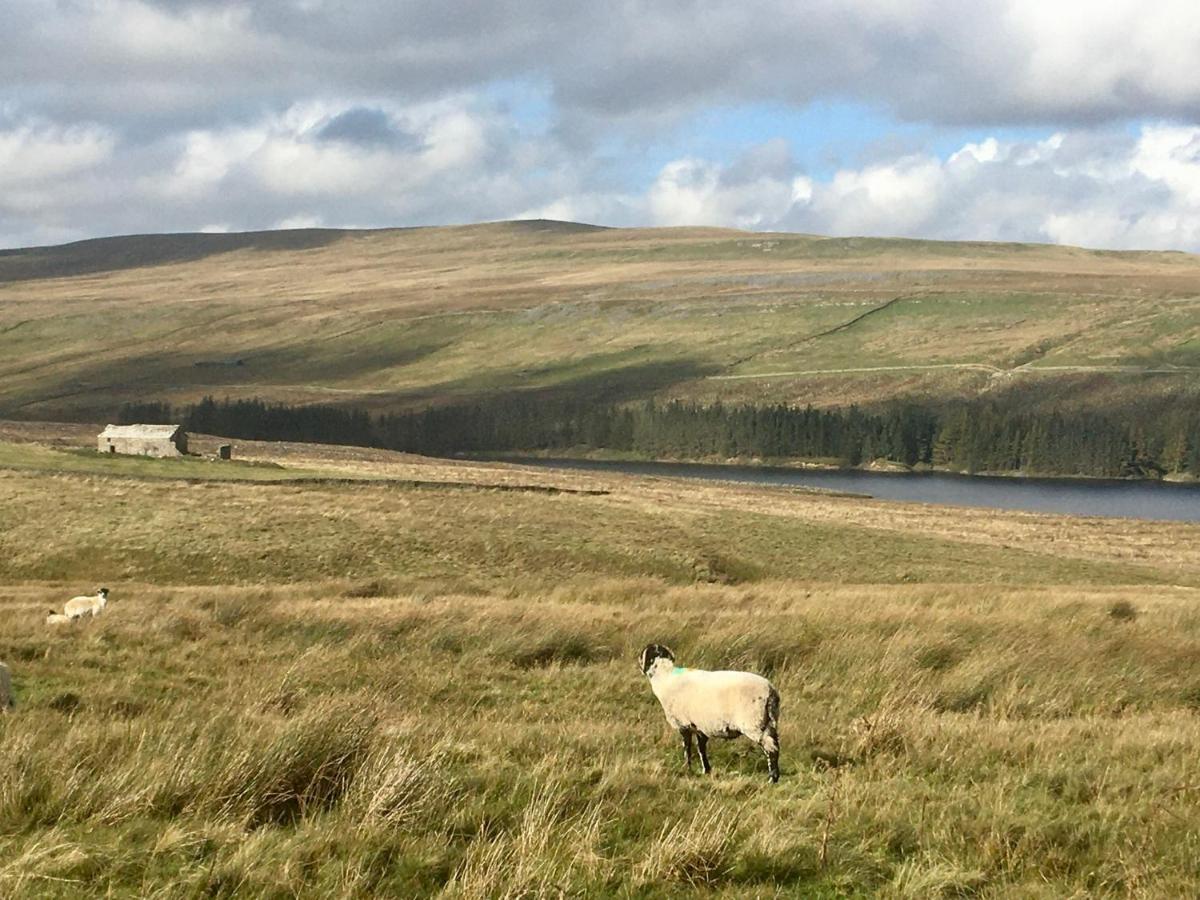 Weardale Cottage Saint Johns Chapel エクステリア 写真